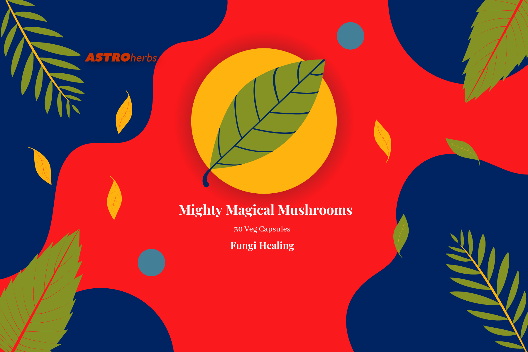 Mighty Magical Mushrooms (Mushroom Healing Blend) - ASTROherbs