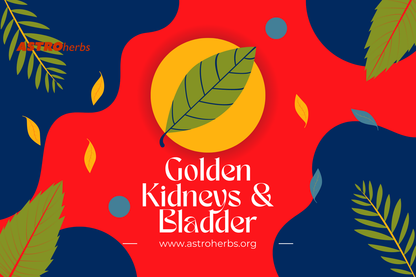 Golden Kidneys & Bladder (30 Capsules) - ASTROherbs