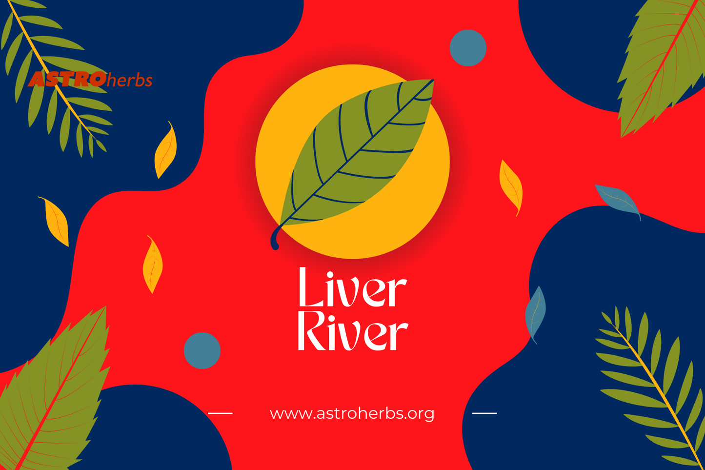 Liver River (30 Veg Capsules) - ASTROherbs