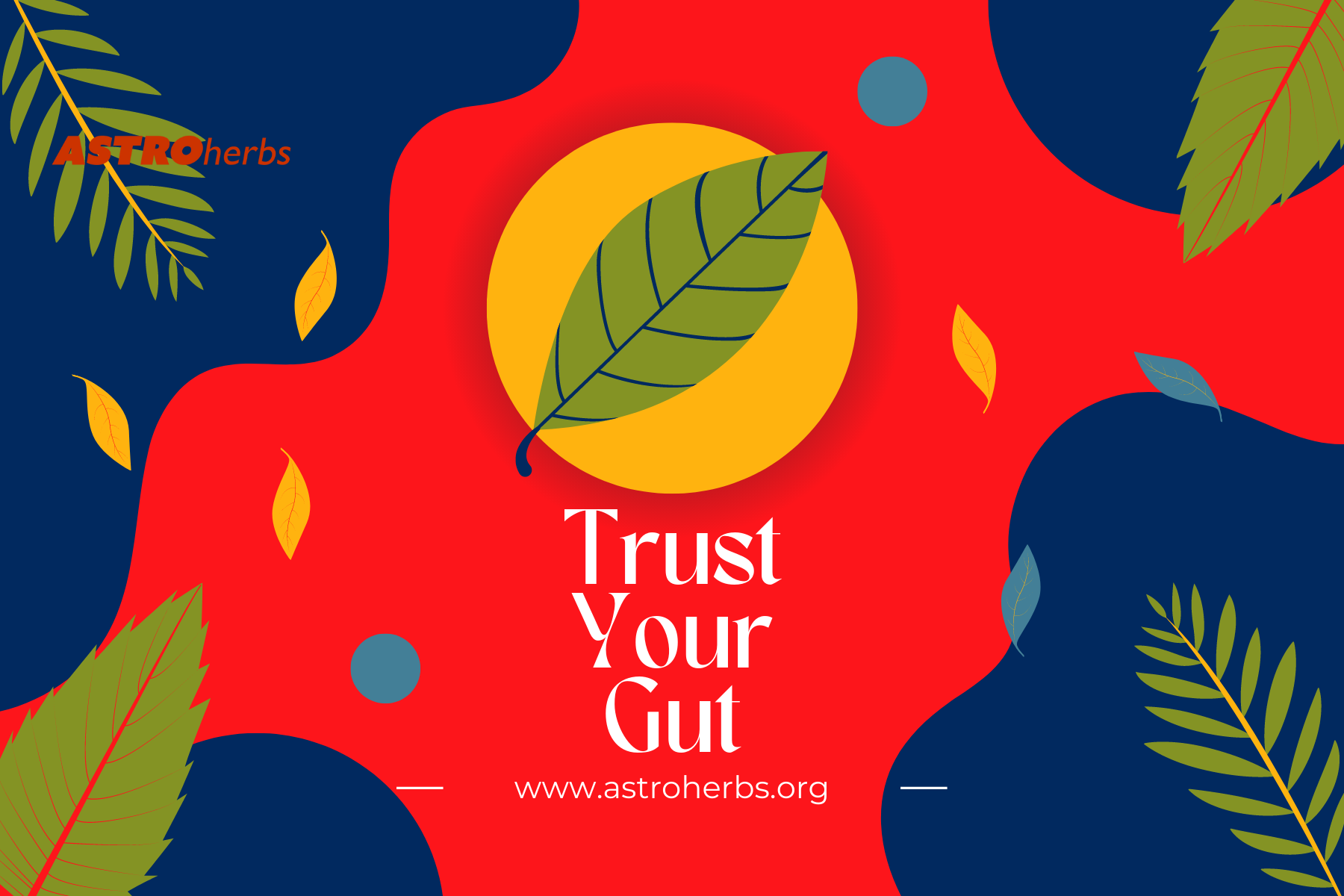 Trust Your Gut (30 Veg Capsules) - ASTROherbs